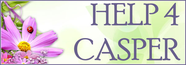 ** HELP 4 CASPER